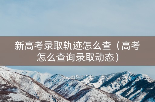 新高考录取轨迹怎么查（高考怎么查询录取动态）