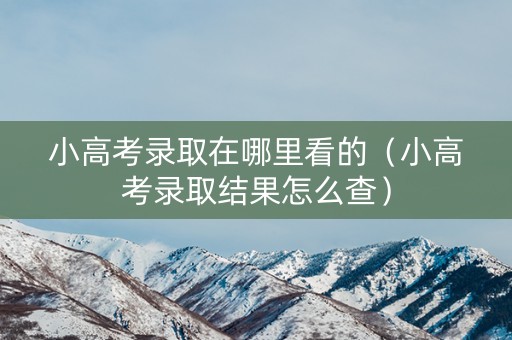 小高考录取在哪里看的（小高考录取结果怎么查）