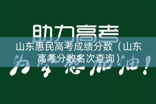 山东惠民高考成绩分数（山东高考分数名次查询）