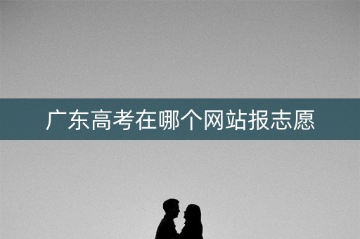 广东高考在哪个网站报志愿