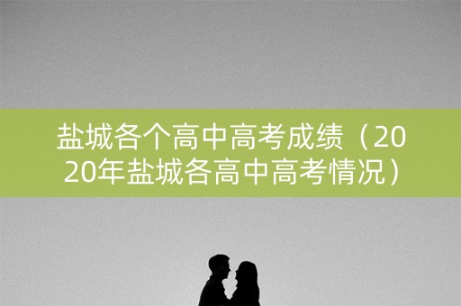 盐城各个高中高考成绩（2020年盐城各高中高考情况）