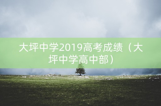 大坪中学2019高考成绩（大坪中学高中部）