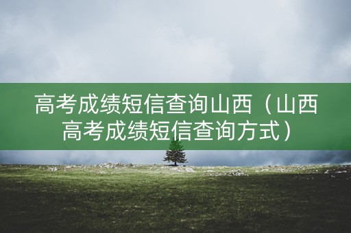 高考成绩短信查询山西（山西高考成绩短信查询方式）