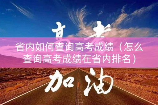 省内如何查询高考成绩（怎么查询高考成绩在省内排名）