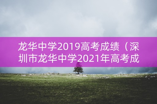龙华中学2019高考成绩（深圳市龙华中学2021年高考成绩）