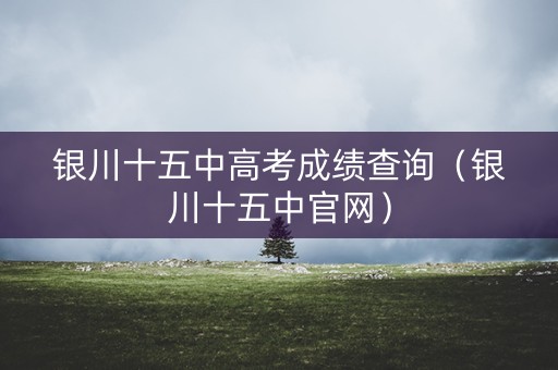 银川十五中高考成绩查询（银川十五中官网）