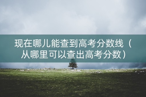 现在哪儿能查到高考分数线（从哪里可以查出高考分数）