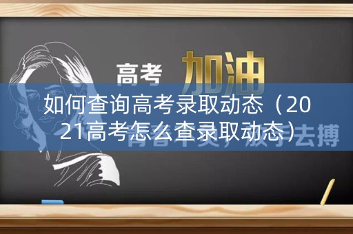 如何查询高考录取动态（2021高考怎么查录取动态）