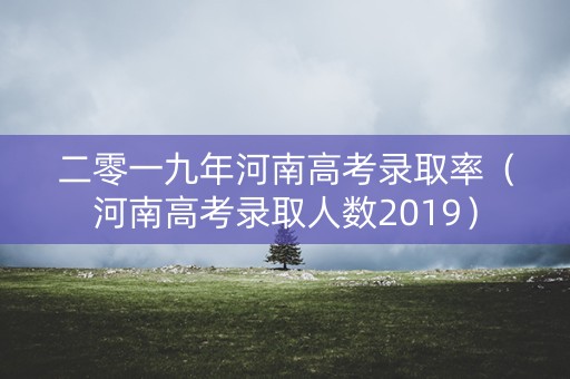 二零一九年河南高考录取率（河南高考录取人数2019）
