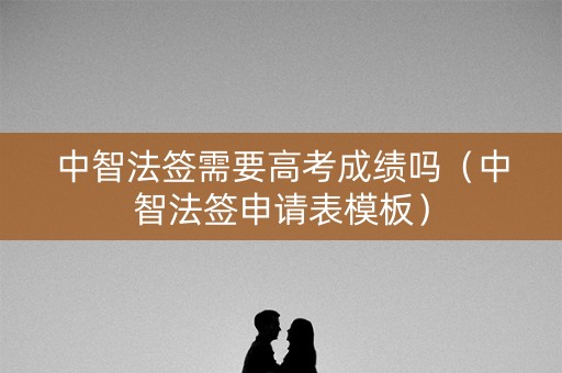 中智法签需要高考成绩吗（中智法签申请表模板）