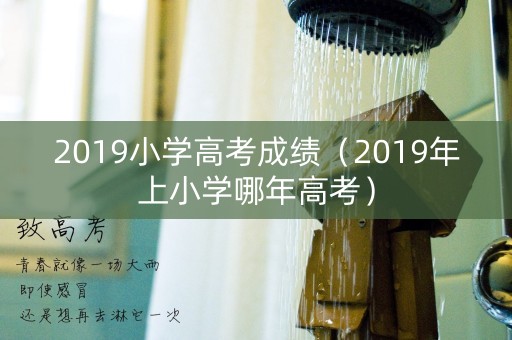 2019小学高考成绩（2019年上小学哪年高考）