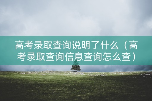 高考录取查询说明了什么（高考录取查询信息查询怎么查）