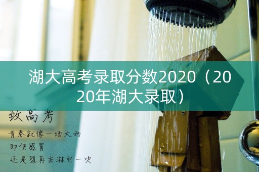 湖大高考录取分数2020（2020年湖大录取）