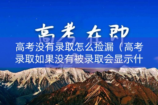 高考没有录取怎么捡漏（高考录取如果没有被录取会显示什么）