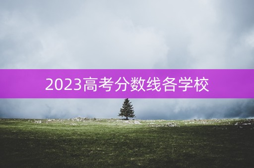 2023高考分数线各学校