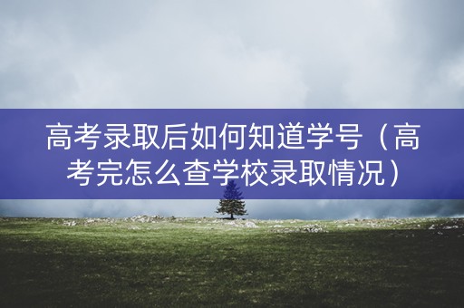 高考录取后如何知道学号（高考完怎么查学校录取情况）