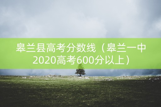 皋兰县高考分数线（皋兰一中2020高考600分以上）