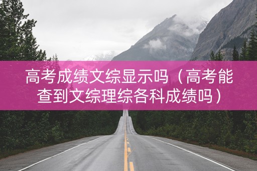 高考成绩文综显示吗（高考能查到文综理综各科成绩吗）