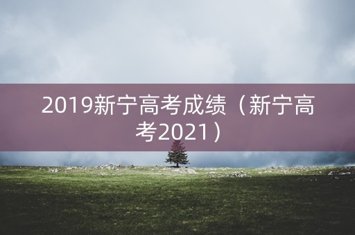2019新宁高考成绩（新宁高考2021）