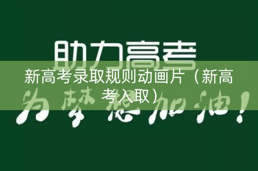 新高考录取规则动画片（新高考入取）