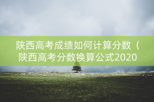 陕西高考成绩如何计算分数（陕西高考分数换算公式2020年高考成绩）