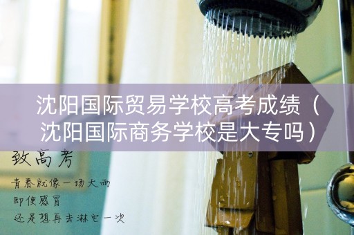 沈阳国际贸易学校高考成绩（沈阳国际商务学校是大专吗）