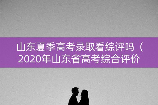 山东夏季高考录取看综评吗（2020年山东省高考综合评价招生院校）