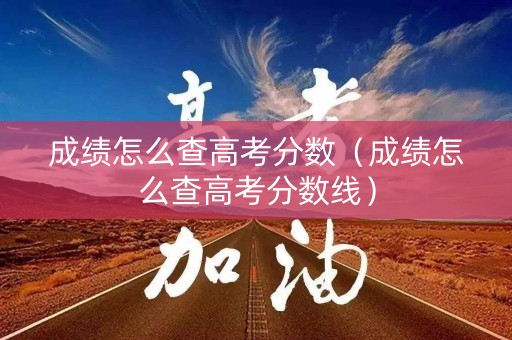 成绩怎么查高考分数（成绩怎么查高考分数线）