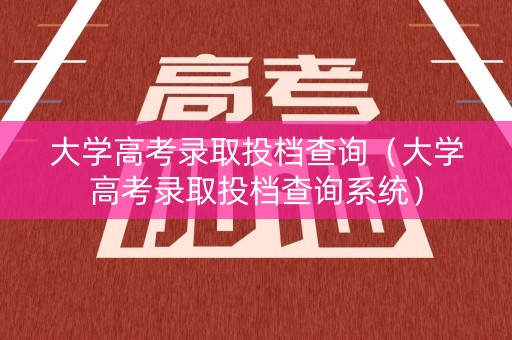 大学高考录取投档查询（大学高考录取投档查询系统）