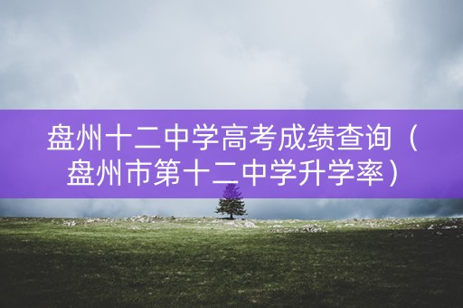 盘州十二中学高考成绩查询（盘州市第十二中学升学率）