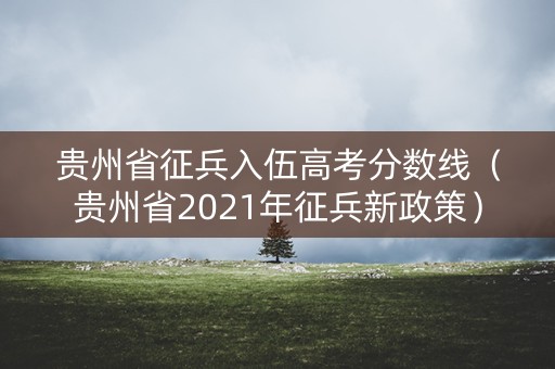 贵州省征兵入伍高考分数线（贵州省2021年征兵新政策）