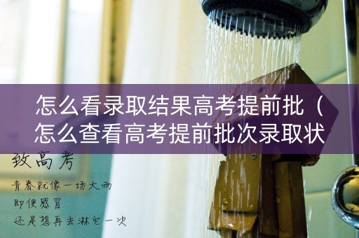 怎么看录取结果高考提前批（怎么查看高考提前批次录取状态）