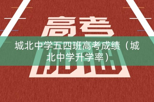 城北中学五四班高考成绩（城北中学升学率）
