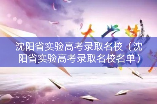 沈阳省实验高考录取名校（沈阳省实验高考录取名校名单）