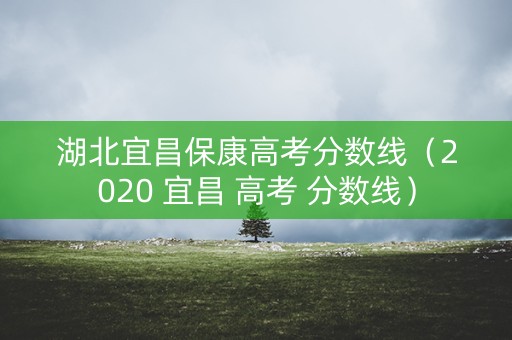 湖北宜昌保康高考分数线（2020 宜昌 高考 分数线）