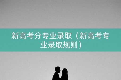新高考分专业录取（新高考专业录取规则）