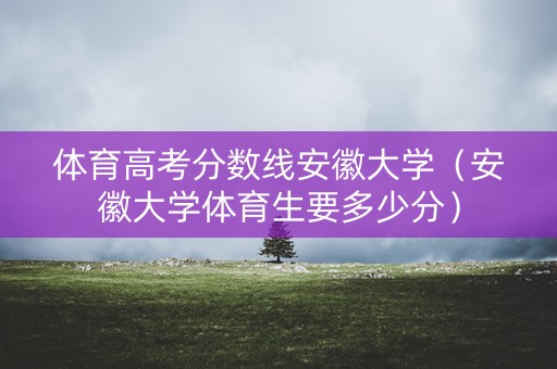 体育高考分数线安徽大学（安徽大学体育生要多少分）
