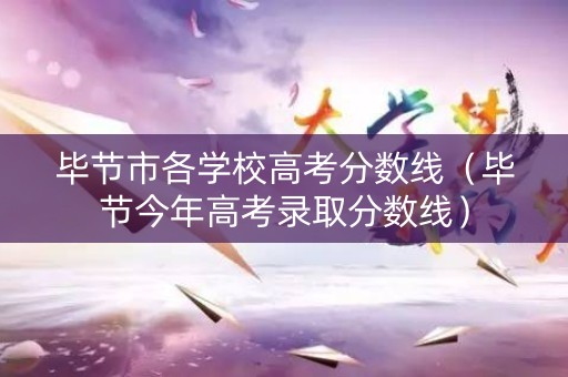 毕节市各学校高考分数线（毕节今年高考录取分数线）