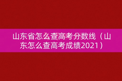 山东省怎么查高考分数线（山东怎么查高考成绩2021）