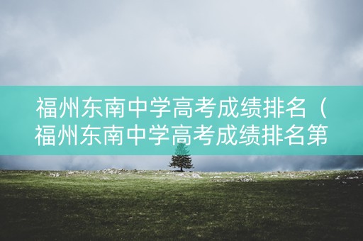 福州东南中学高考成绩排名（福州东南中学高考成绩排名第几）