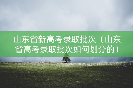 山东省新高考录取批次（山东省高考录取批次如何划分的）