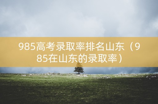 985高考录取率排名山东（985在山东的录取率）