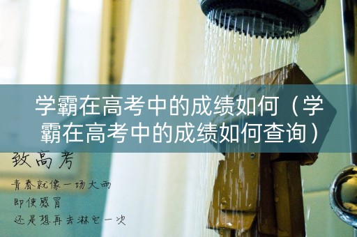 学霸在高考中的成绩如何（学霸在高考中的成绩如何查询）