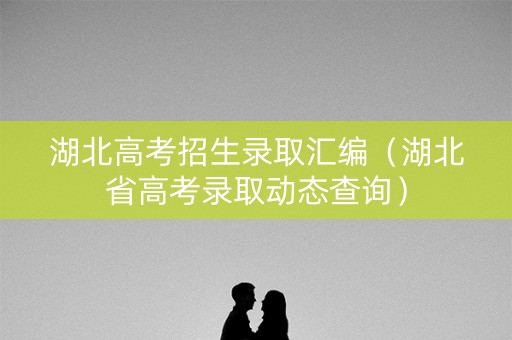 湖北高考招生录取汇编（湖北省高考录取动态查询）