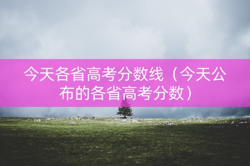 今天各省高考分数线（今天公布的各省高考分数）