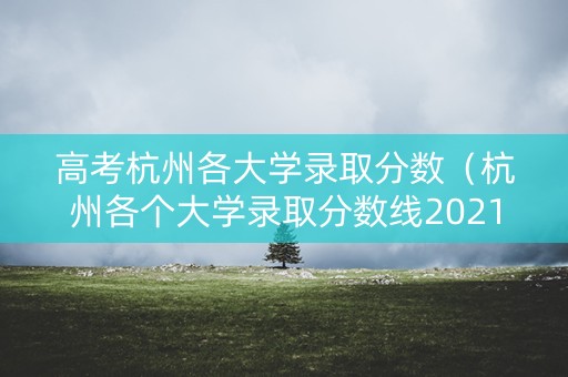 高考杭州各大学录取分数（杭州各个大学录取分数线2021）