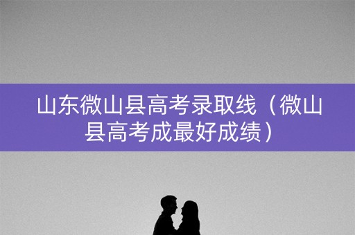 山东微山县高考录取线（微山县高考成最好成绩）