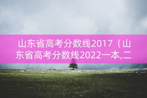 山东省高考分数线2017（山东省高考分数线2022一本,二本,专科分数线）