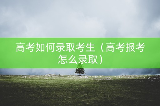 高考如何录取考生（高考报考怎么录取）