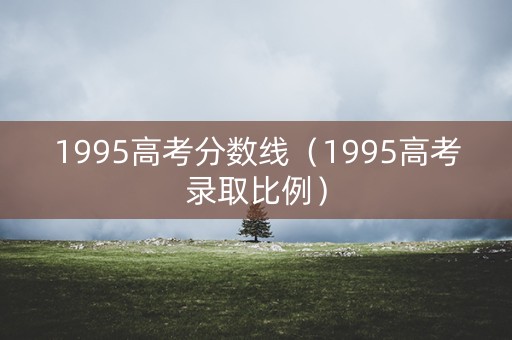 1995高考分数线（1995高考录取比例）